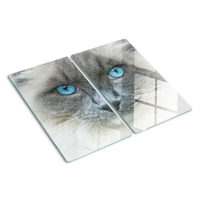Planche à découper en verre Chat aux yeux bleus