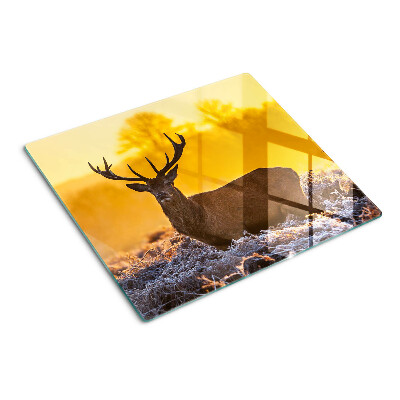 Planche à découper verre Cerf dans le paysage matinal