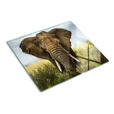 Planche à découper en verre Un éléphant sur fond de savane africaine