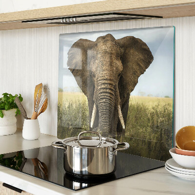 Planche à découper en verre Un éléphant sur fond de savane africaine