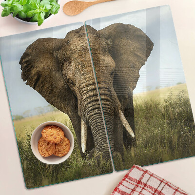 Planche à découper en verre Un éléphant sur fond de savane africaine