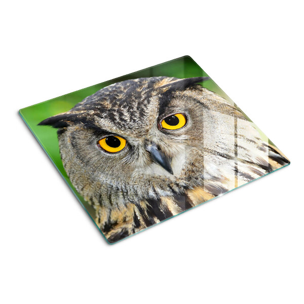 Planche à découper en verre Chouette aux yeux expressifs
