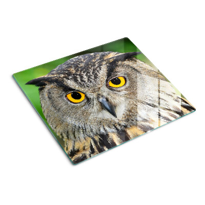 Planche à découper en verre Chouette aux yeux expressifs