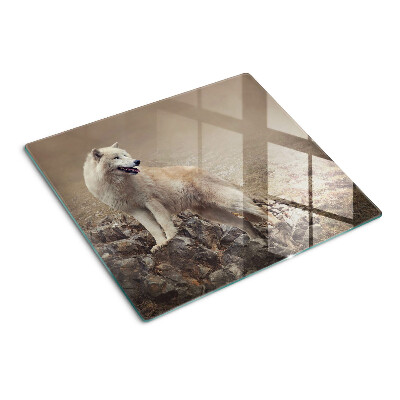 Planche à découper en verre Loup sur une montagne rocheuse