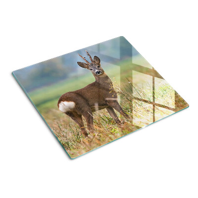 Planche à découper verre Chevreuil dans son habitat naturel