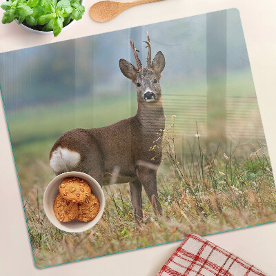 Planche à découper verre Chevreuil dans son habitat naturel