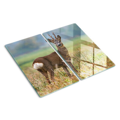 Planche à découper verre Chevreuil dans son habitat naturel