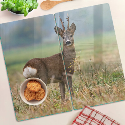 Planche à découper verre Chevreuil dans son habitat naturel