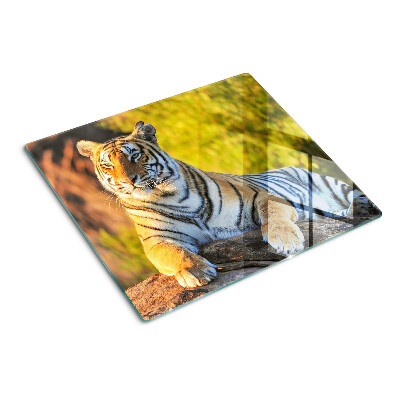 Planche à découper verre Tigre en arrière-plan de la nature