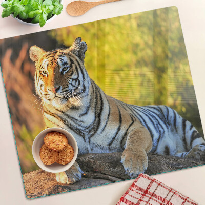 Planche à découper verre Tigre en arrière-plan de la nature