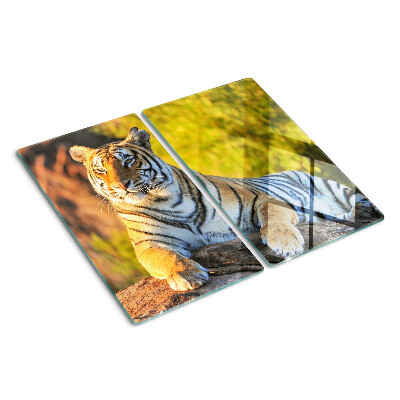 Planche à découper verre Tigre en arrière-plan de la nature
