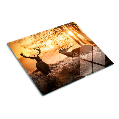 Planche à découper verre Cerf dans la forêt au coucher du soleil