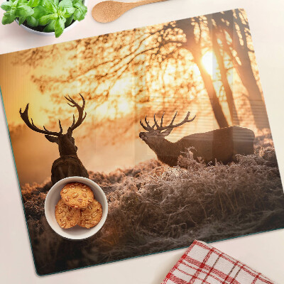 Planche à découper verre Cerf dans la forêt au coucher du soleil
