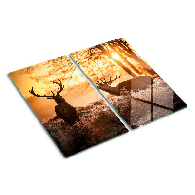 Planche à découper verre Cerf dans la forêt au coucher du soleil