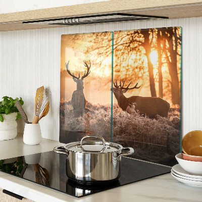 Planche à découper verre Cerf dans la forêt au coucher du soleil