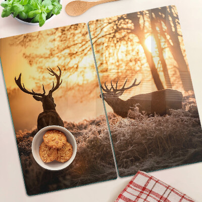 Planche à découper verre Cerf dans la forêt au coucher du soleil