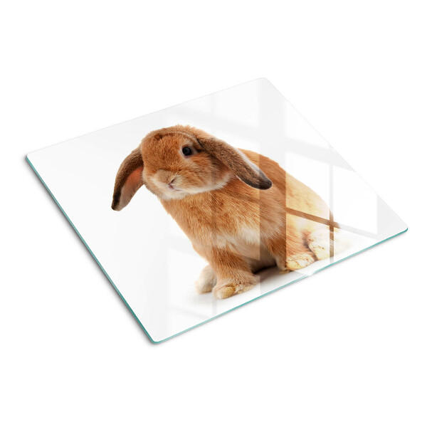 Planche à découper en verre Lapin sur fond blanc