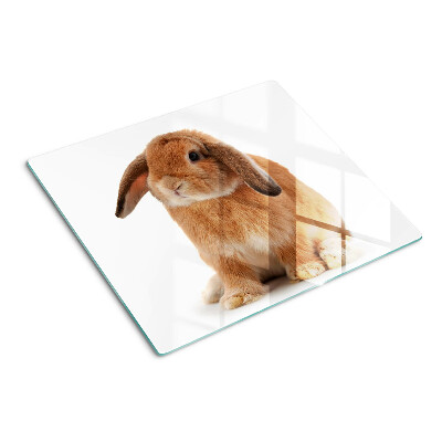 Planche à découper en verre Lapin sur fond blanc