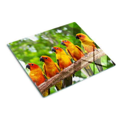 Planche à découper verre Perroquets sur une branche