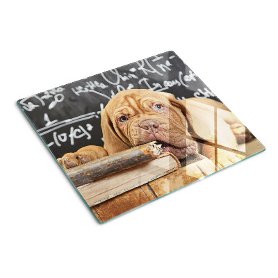 Planche à découper en verre Chien avec des livres et un tableau noir