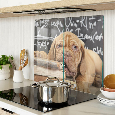 Planche à découper en verre Chien avec des livres et un tableau noir