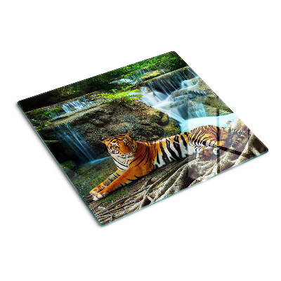 Planche à découper en verre Tigre dans son habitat naturel