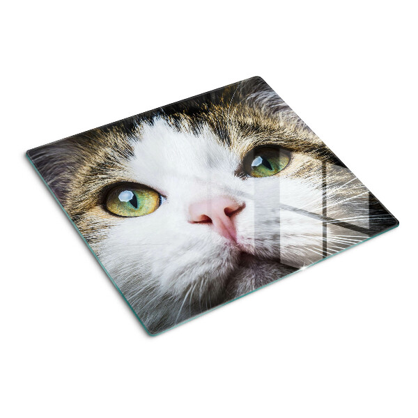 Planche à découper en verre Chat aux yeux verts