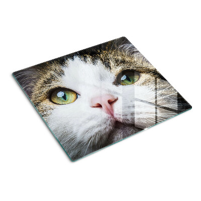 Planche à découper en verre Chat aux yeux verts