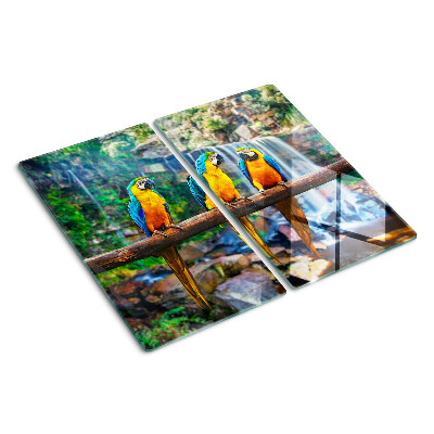 Planche à découper verre Perroquets sur une branche dans une forêt tropicale