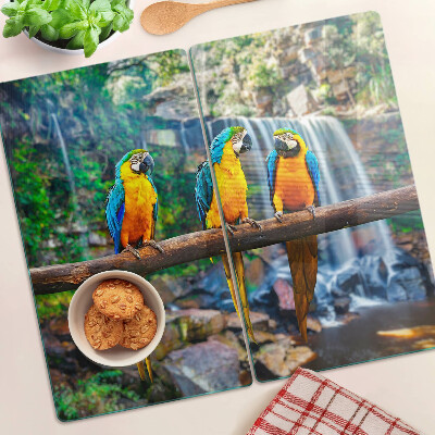 Planche à découper verre Perroquets sur une branche dans une forêt tropicale