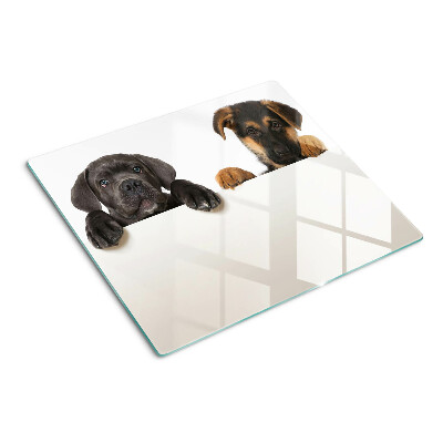 Planche à découper verre Deux chiens regardent autour d'eux