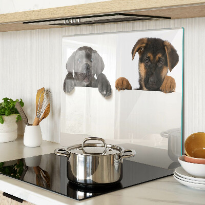 Planche à découper verre Deux chiens regardent autour d'eux