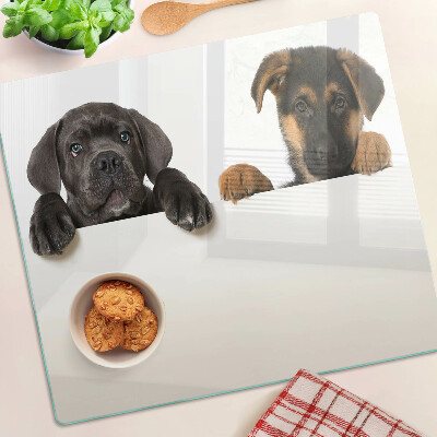 Planche à découper verre Deux chiens regardent autour d'eux