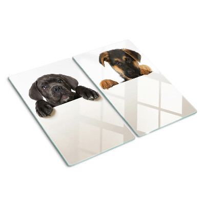 Planche à découper verre Deux chiens regardent autour d'eux