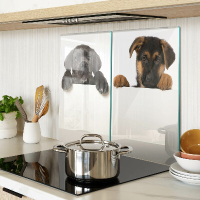 Planche à découper verre Deux chiens regardent autour d'eux