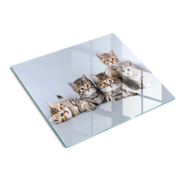 Planche à découper en verre Des chats devant la fenêtre