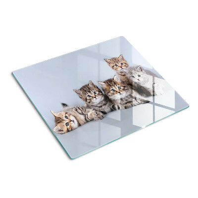 Planche à découper en verre Des chats devant la fenêtre
