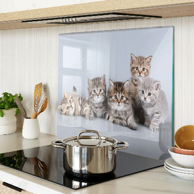 Planche à découper en verre Des chats devant la fenêtre