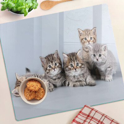Planche à découper en verre Des chats devant la fenêtre