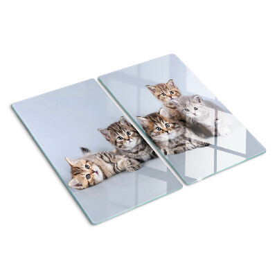 Planche à découper en verre Des chats devant la fenêtre