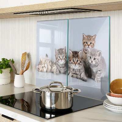 Planche à découper en verre Des chats devant la fenêtre
