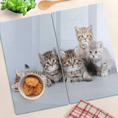 Planche à découper en verre Des chats devant la fenêtre