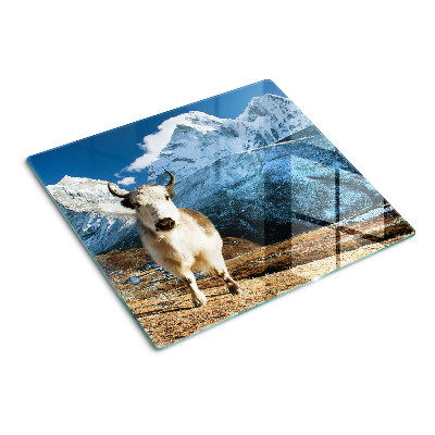Planche à découper en verre Vache dans les montagnes