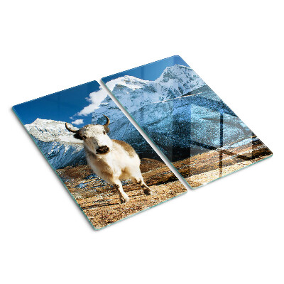 Planche à découper en verre Vache dans les montagnes