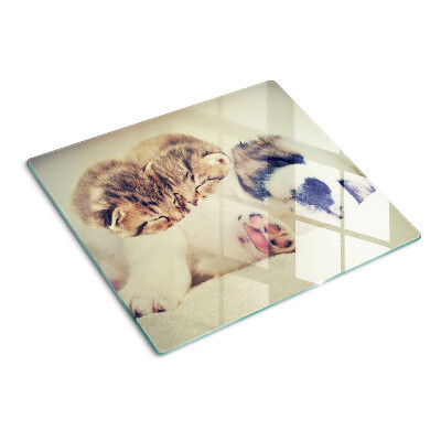 Planche à découper verre Des chats et un chien dorment ensemble