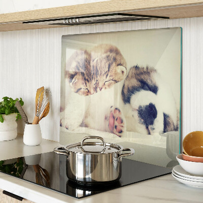 Planche à découper verre Des chats et un chien dorment ensemble