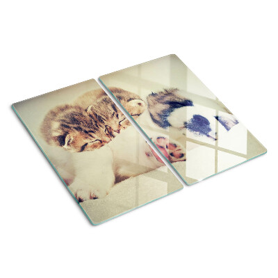Planche à découper verre Des chats et un chien dorment ensemble