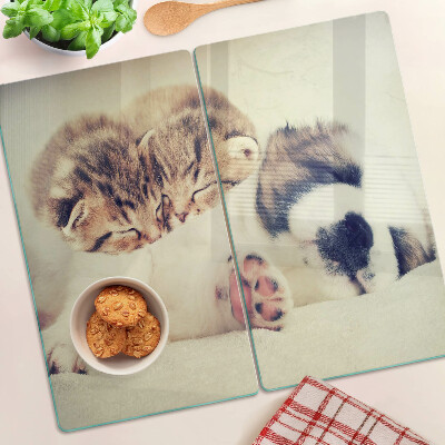 Planche à découper verre Des chats et un chien dorment ensemble