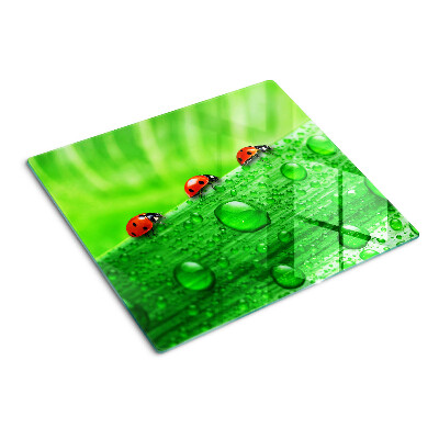 Planche à découper verre Coccinelles sur fond vert