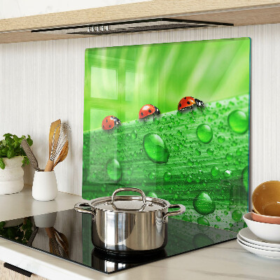 Planche à découper verre Coccinelles sur fond vert